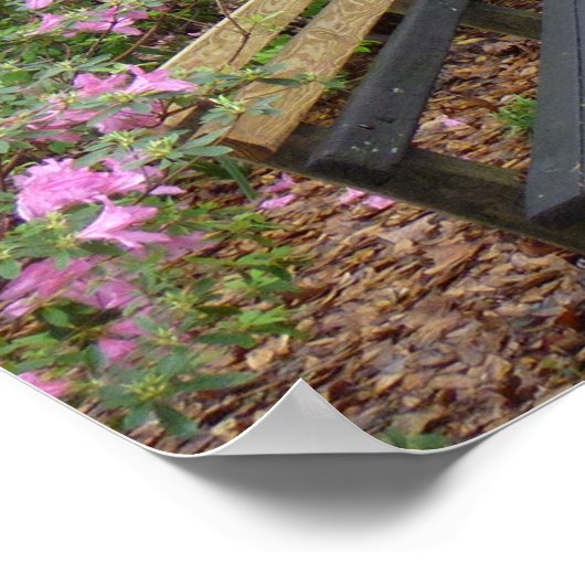 Reynolds Square, Savannah Georgia Poster (Hoek)