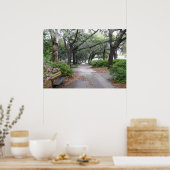 Reynolds Square, Savannah Georgia Poster (Keuken)