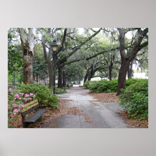Reynolds Square, Savannah Georgia Poster (Voorkant)