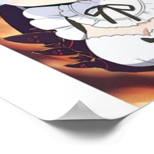 ReZero Poster (Hoek)