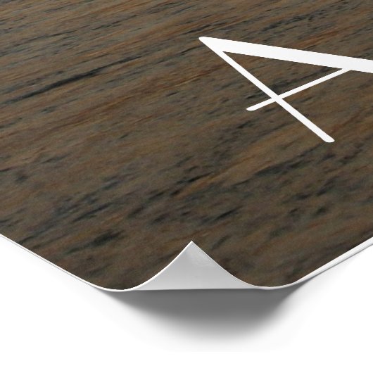 "RFK Bridge at Sunset" Astoria, NY Poster (Hoek)