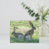 RHC-Briefkaart Briefkaart (Staand voorkant)