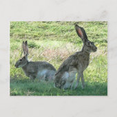 RHC-Briefkaart Briefkaart (Voorkant)