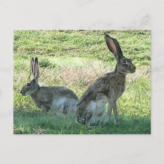 RHC-Briefkaart Briefkaart (Voorkant)