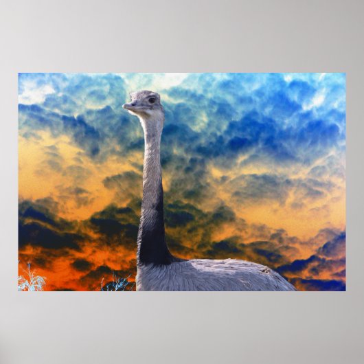 Rhea over Storm Cloud Sky Poster (Voorkant)