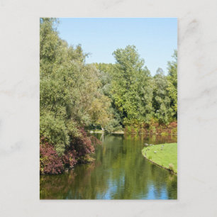 Rheinaue Park Ansichtkaart Briefkaart