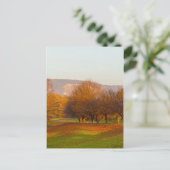 Rheinaue Park Ansichtkaart Briefkaart (Staand voorkant)