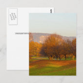 Rheinaue Park Ansichtkaart Briefkaart (Voorkant / Achterkant)