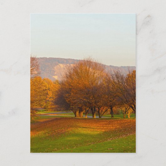 Rheinaue Park Ansichtkaart Briefkaart (Voorkant)
