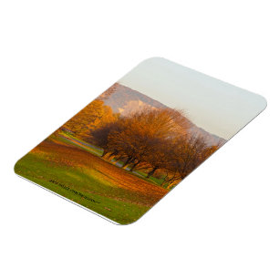 Rheinaue Park Premium Magneet