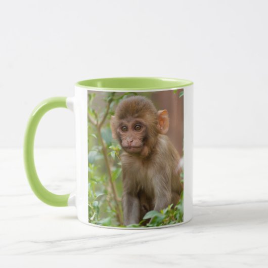 Rhesus-aapbaby, apentempel, Jaipur Mok (Links)
