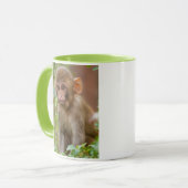 Rhesus-aapbaby, apentempel, Jaipur Mok (Voorkant links)