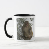 Rhesus Macaque aap (Macaca mulatta), zittend Mok (Links)