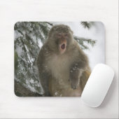 Rhesus Macaque aap (Macaca mulatta), zittend Muismat (Met muis)