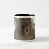 Rhesus Macaque aap (Macaca mulatta), zittend Tweekleurige Koffiemok (Center)