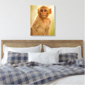 Rhesus Macaque Baby (Macaca Mulatta) | Sariska Canvas Afdruk (Insitu (Slaapkamer))