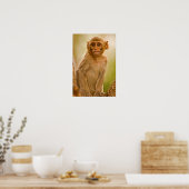 Rhesus Macaque Baby (Macaca Mulatta) | Sariska Poster (Keuken)