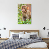 Rhesus Monkey Baby, Monkey Temple, Jaipur Canvas Afdruk (Insitu (Slaapkamer))