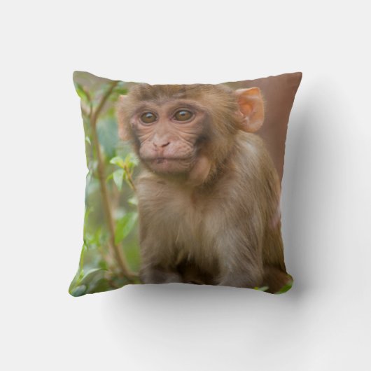 Rhesus Monkey Baby, Monkey Temple, Jaipur Kussen (Achterkant)