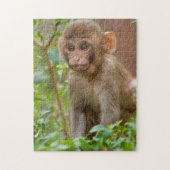 Rhesus Monkey Baby, Monkey Temple, Jaipur Legpuzzel (Verticaal)