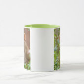 Rhesus Monkey Baby, Monkey Temple, Jaipur Mok (Midden)