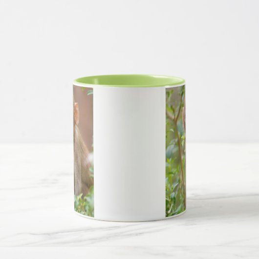 Rhesus Monkey Baby, Monkey Temple, Jaipur Mok (Midden)