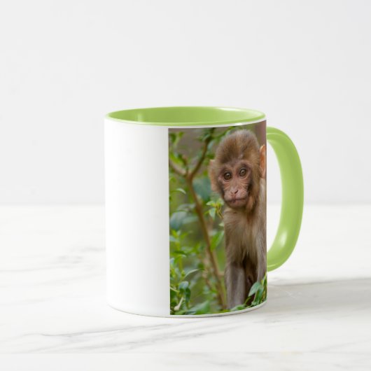 Rhesus Monkey Baby, Monkey Temple, Jaipur Mok (Voorkant rechts)