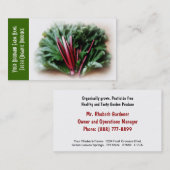 Rheubarb en bladeren, tuinbouwers visitekaartje (Voorkant / Achterkant)