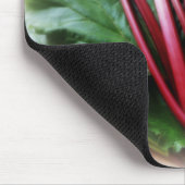 Rheubarbaaltjes en -bladeren, vers muismat (Hoek)