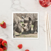 Rhinamiekduo Servet (Insitu)