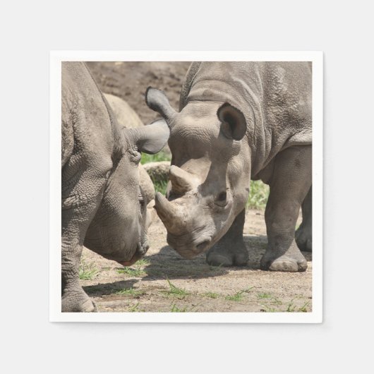 Rhinamiekduo Servet (Voorkant)