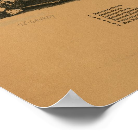 Rhinebeck New York 1890 Antiek Panorama Poster (Hoek)