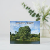 Rhinelander Wisconsin-Briefkaart Briefkaart (Staand voorkant)