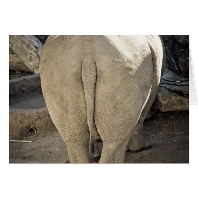 Rhino (Voorkant Horizontaal)