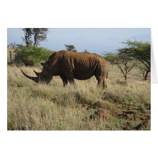 Rhino (Voorkant Horizontaal)