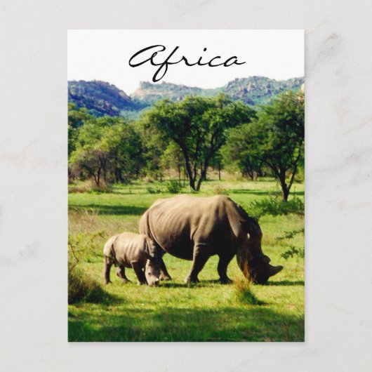 rhino africa briefkaart (Voorkant)