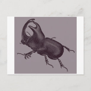 Rhino Beetle, Scarabeus Chorinaeus Briefkaart