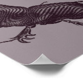 Rhino Beetle, Scarabeus Chorinaeus Poster (Hoek)