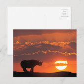 Rhino bij zonsondergang, Masai Mara, Kenia Briefkaart (Voorkant / Achterkant)