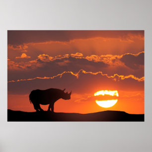 Rhino bij zonsondergang, Masai Mara, Kenia Poster