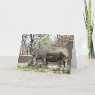 Rhino Birthday Card Kaart