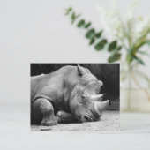 Rhino Black en White Briefkaart (Staand voorkant)