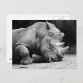 Rhino Black en White Briefkaart (Voorkant / Achterkant)