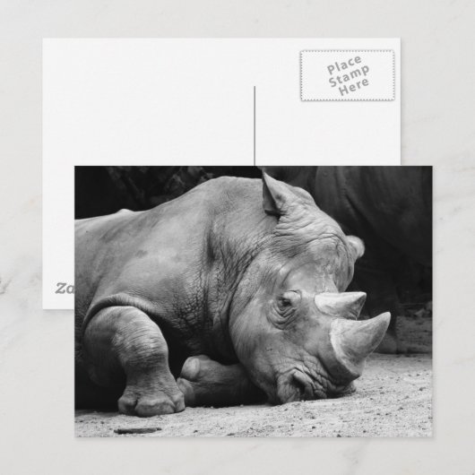 Rhino Black en White Briefkaart (Voorkant / Achterkant)
