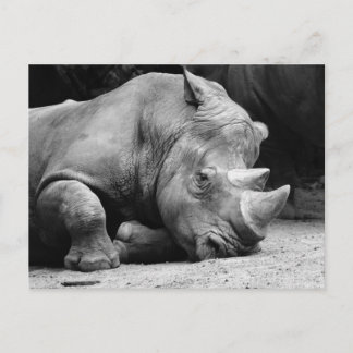 Rhino Black en White Briefkaart
