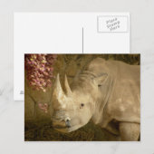 Rhino Briefkaart (Voorkant / Achterkant)