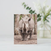 Rhino Briefkaart (Staand voorkant)