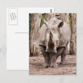 Rhino Briefkaart (Voorkant / Achterkant)