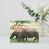 Rhino Briefkaart (Staand voorkant)