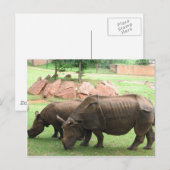 Rhino Briefkaart (Voorkant / Achterkant)